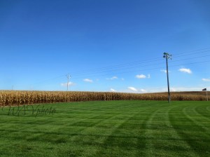 Field of Dreams, Iowa 