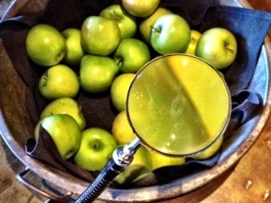 Iron Horse details WAVphoto