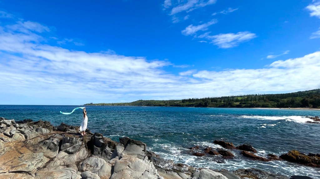 WendyAndrewsPhotography