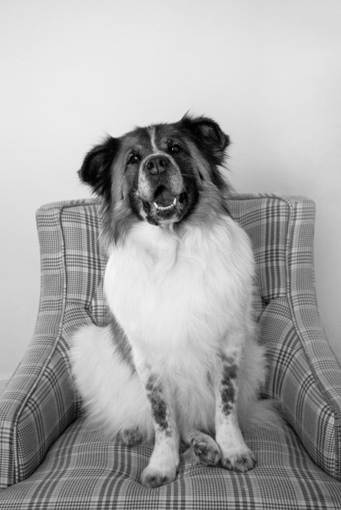 WendyAndrewsPhotography