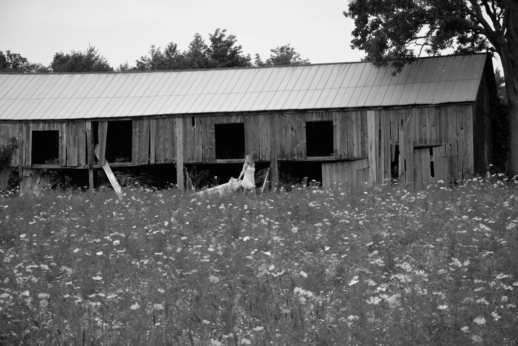 WendyAndrewsPhotography