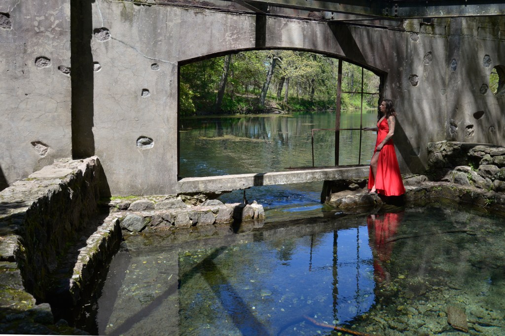 WendyAndrewsPhotography