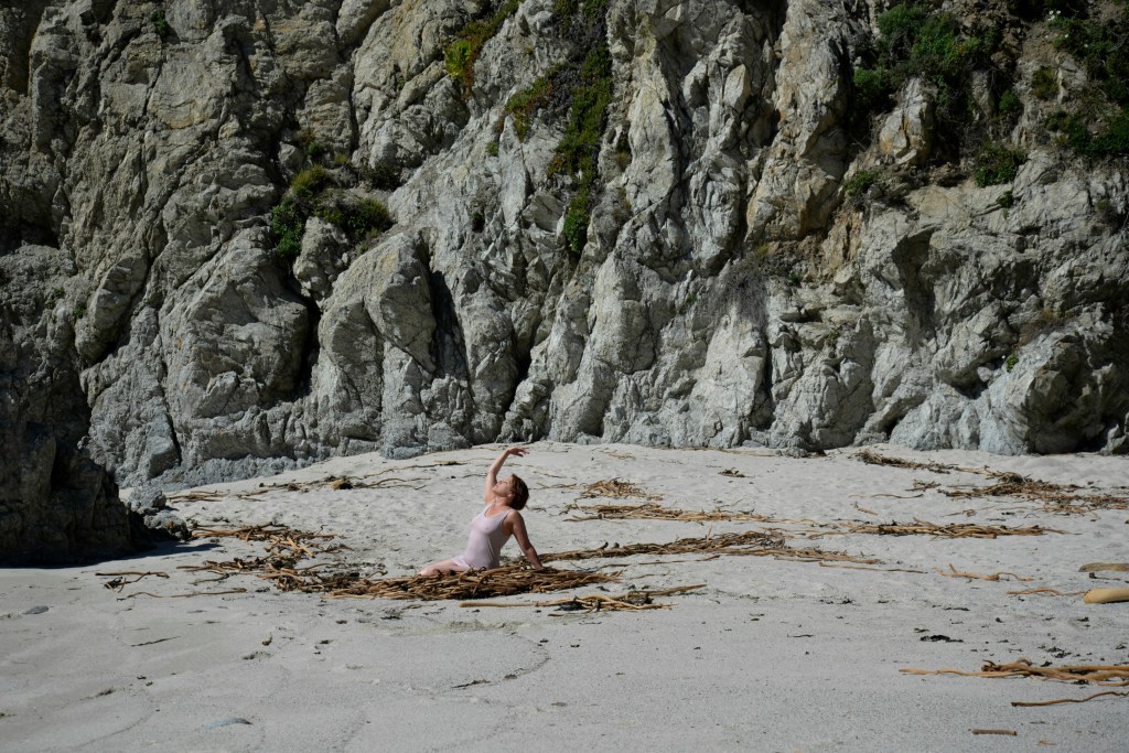 WendyAndrewsPhotography