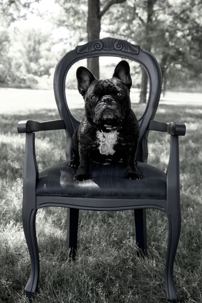 wendyandrewsphotography